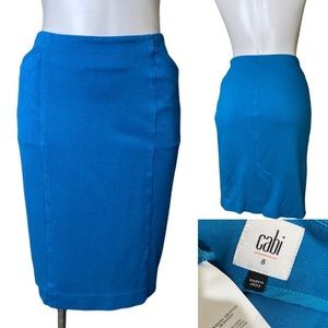 CAbi skirt